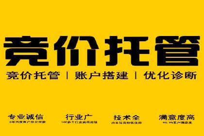 案例展示：托管竞价SEM助力企业实现业绩增长